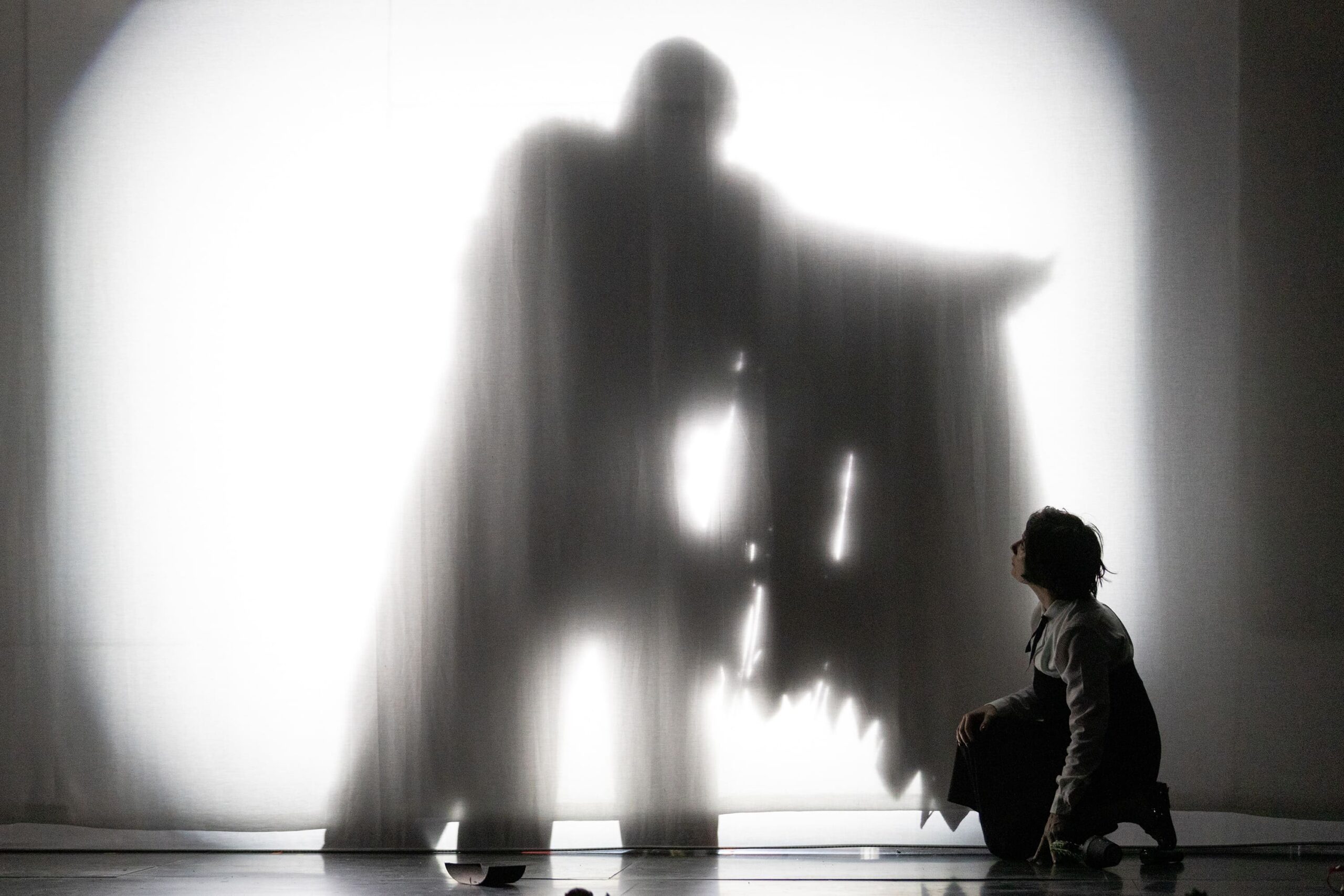 «ЗАПИСКИ СУМАСШЕДШИХ» - Максим Суханов и Чулпан Хаматова — изображение 9