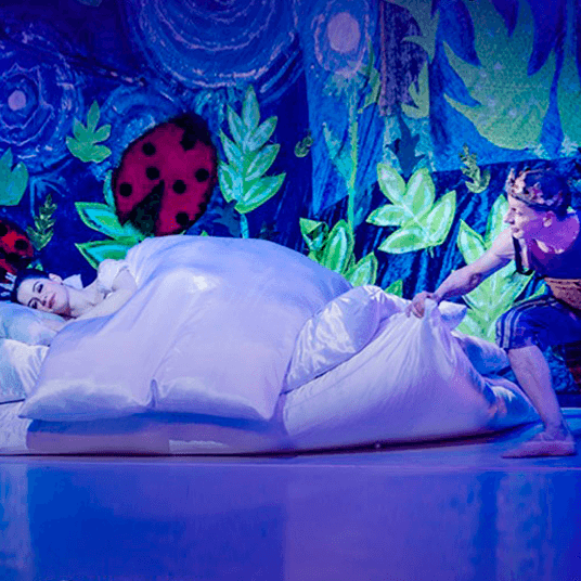 Балет «Принцесса на горошине - Новогодние приключения»